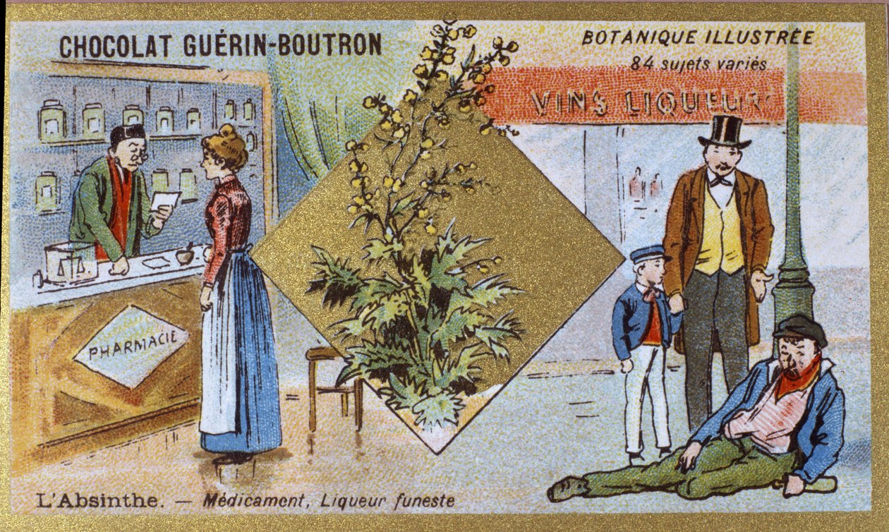 Absint: medicijn en dodelijke likeur. Gravure (chromo). Reclamechromolithografie voor Guerin-Boutron chocolade, eind 19e eeuw. Illustree Botanische Serie door Anonymous Anonymous