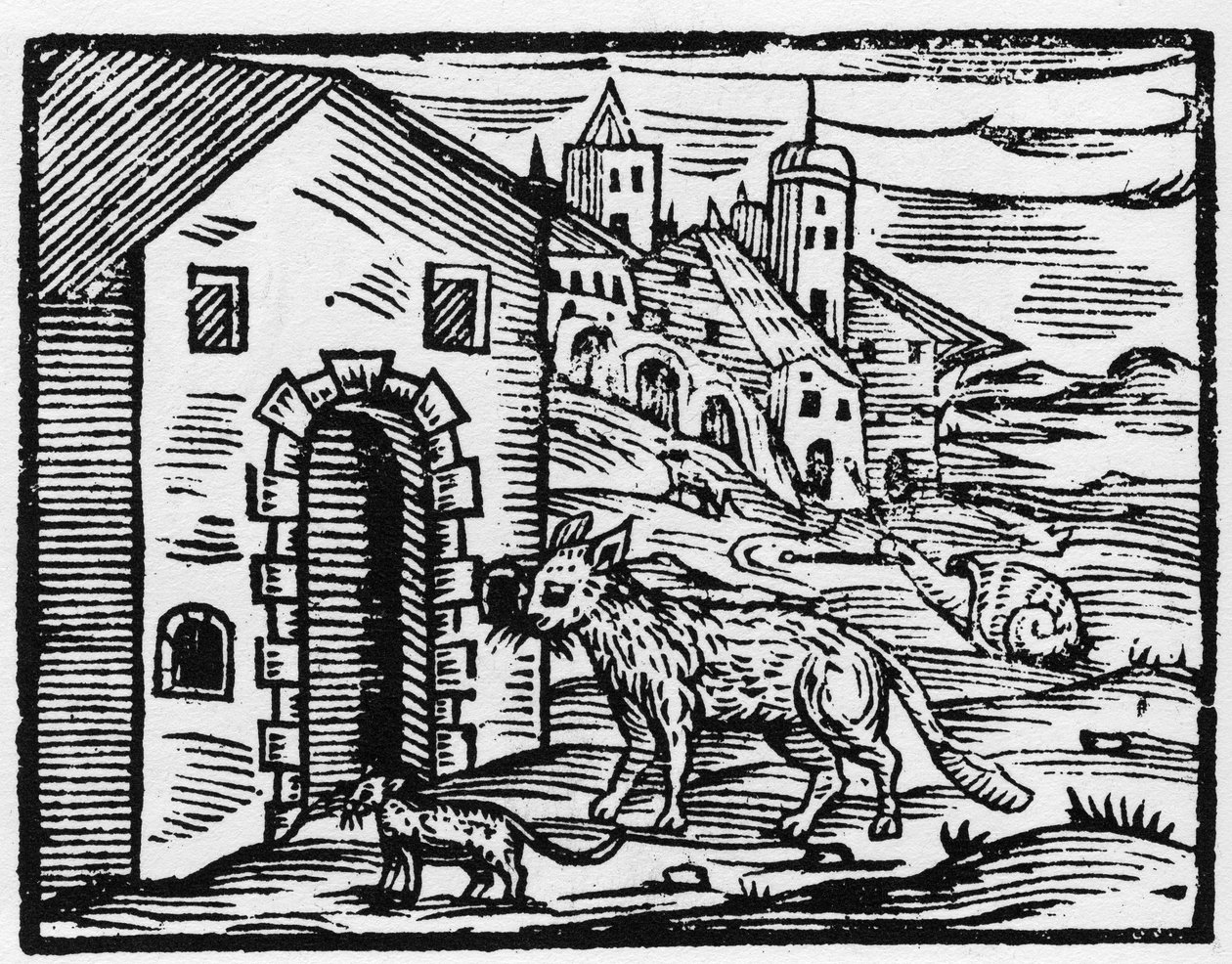 Duivel en heks veranderen in wolf en kat - 