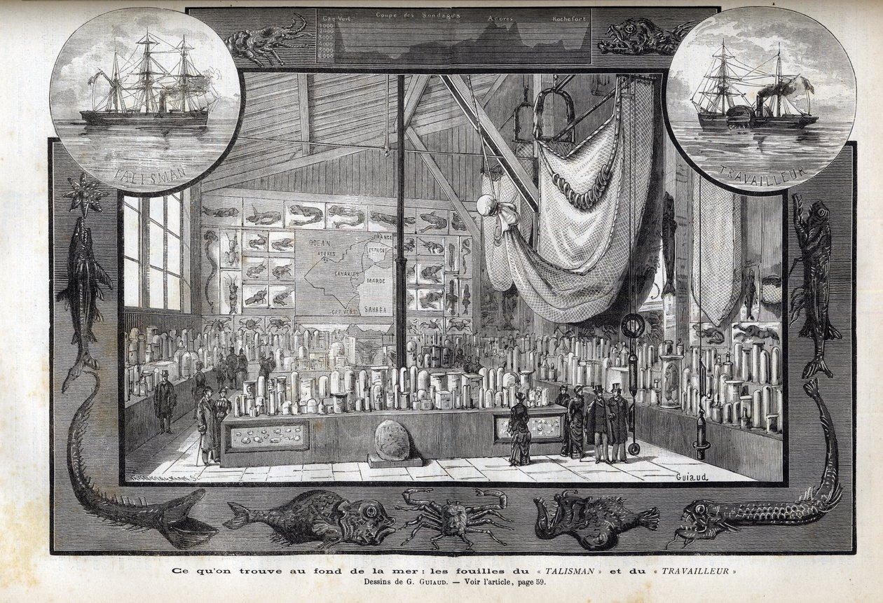Tentoonstelling in het Museum voor Natuurgeschiedenis van Parijs van de collecties gevormd tijdens de cruises - Wetenschappelijke expedities van de Arbeider en de Talisman tijdens de jaren 1880 door Anonymous Anonymous