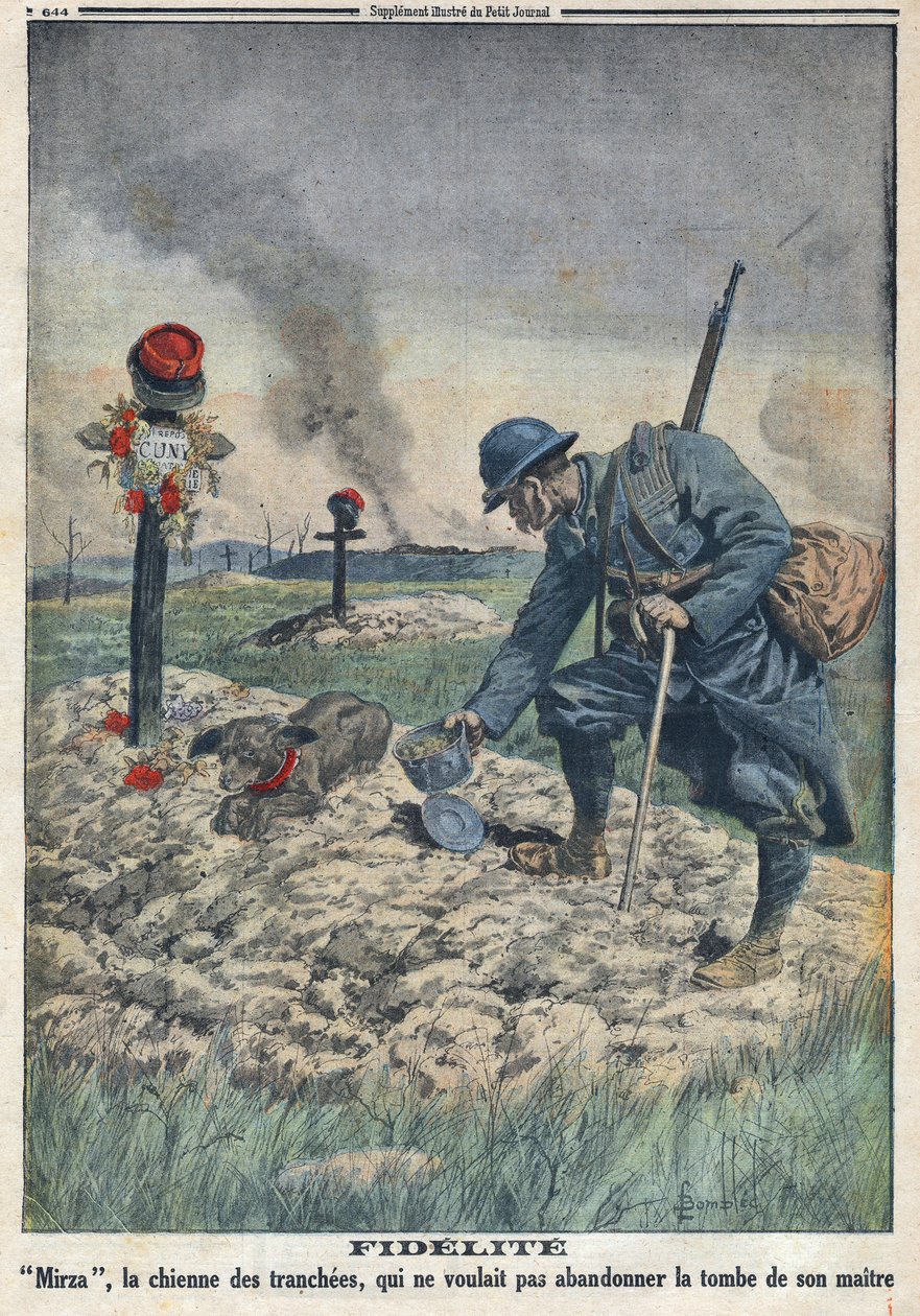 Eerste Wereldoorlog 1914-1918. Een hond weigert het graf van haar dode meester in de loopgraaf te verlaten. In 