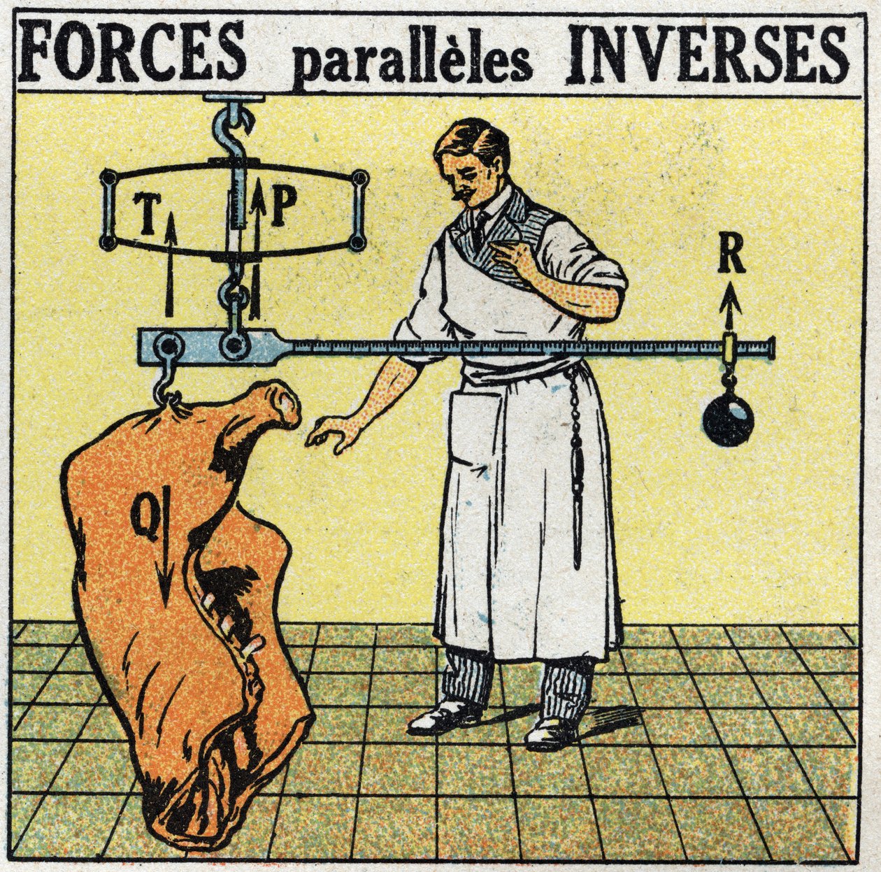 Krachten: omgekeerde parallelle krachten. Een slager die een vleescarcass weegt met een Romeinse weegschaal. Anonieme illustratie uit 1925. Privécollectie. door Anonymous Anonymous