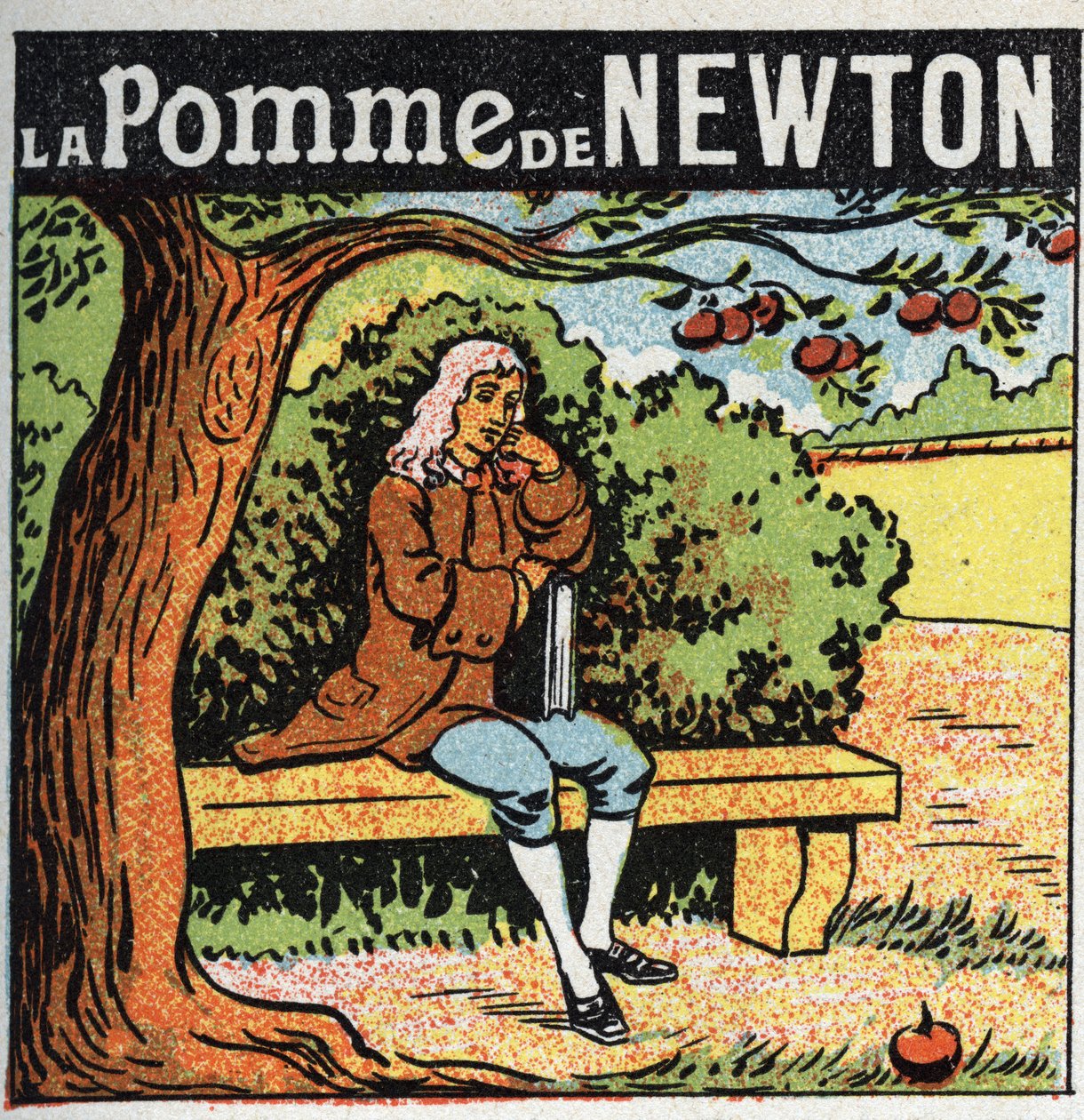 Zwaartekracht: Newton
