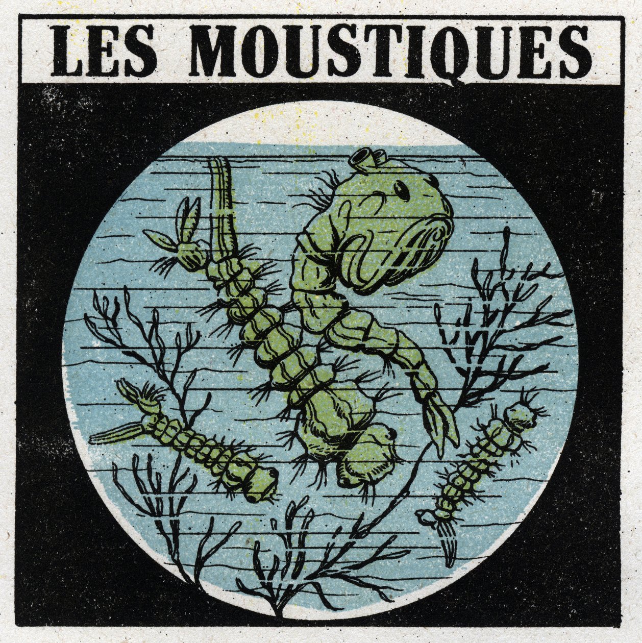 Lichtprojectie: gebruik van een projectielantaarn om muggenlarven te observeren. Anonieme illustratie uit 1925. Privécollectie. door Anonymous Anonymous