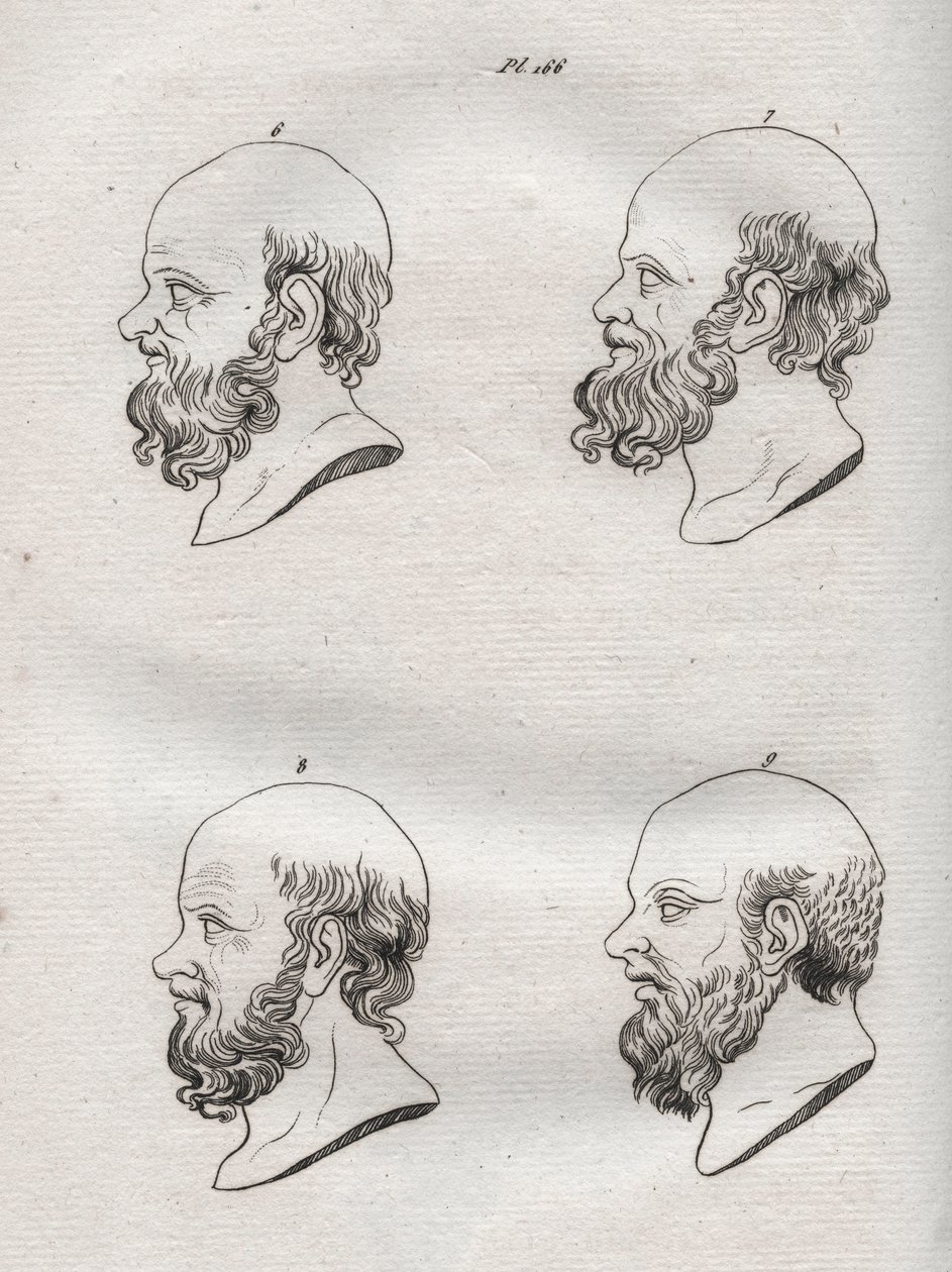 Fysiognomie - Fysiognomie - Verschillende hoofden van de Griekse filosoof Socrates (ca. 469 v.Chr.-399 v.Chr.) (Buste van Socrates (ca. 469 v.Chr.-399 v.Chr.), Atheense filosoof) gravure van 1808 in 