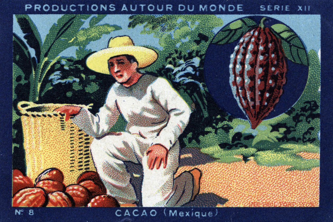 Producties over de hele wereld: Cacao in Mexico. Chromolithografie uit 1933 in “Joseph-Milliat Album” door Anonymous Anonymous