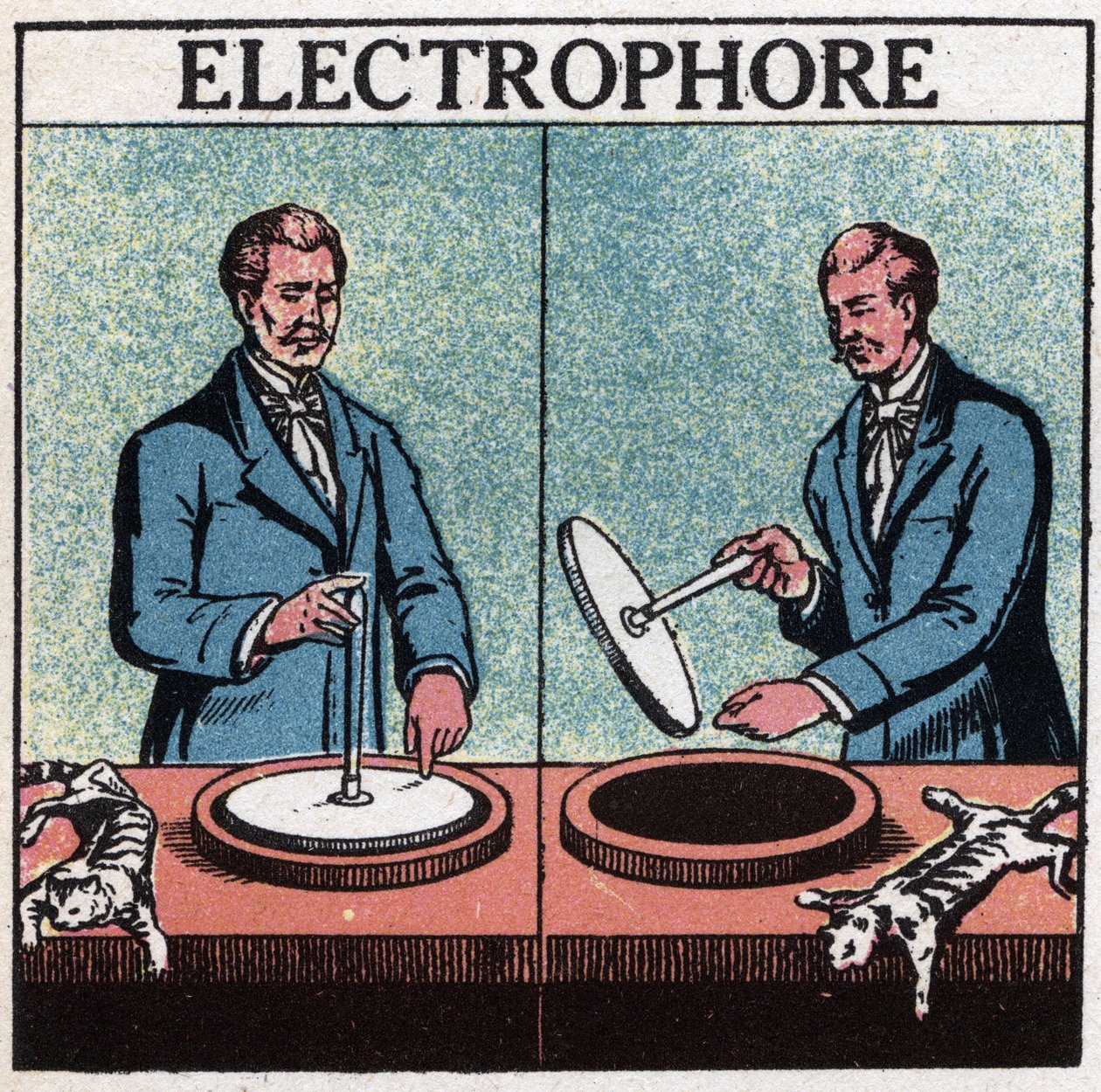Statische machines: elektrophorus door Anonymous Anonymous