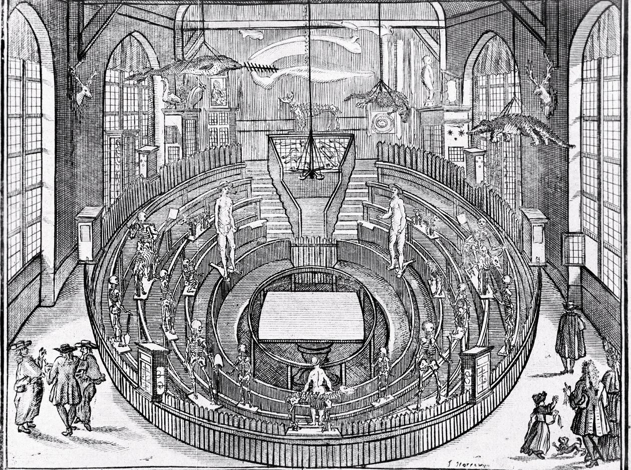 Zicht op een anatomisch theater waarschijnlijk aan de Universiteit van Leiden in het begin van de 17e eeuw door Anonymous Anonymous