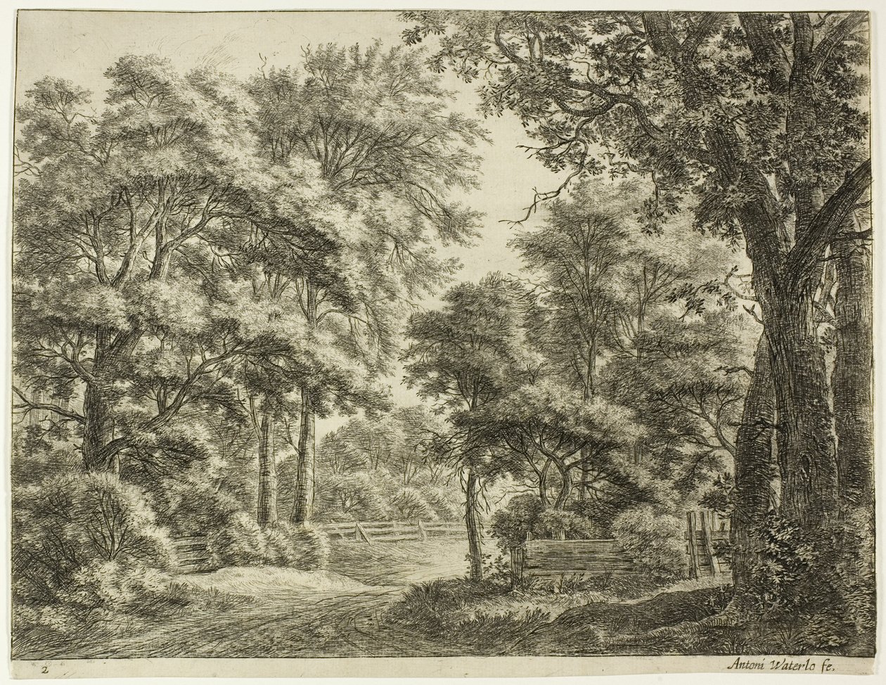 De delen van het hout die pas zijn gesneden door Anthonie Waterloo