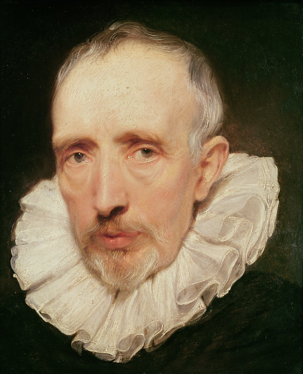 Portret van Cornelis van der Geest door Anthony van Dyck