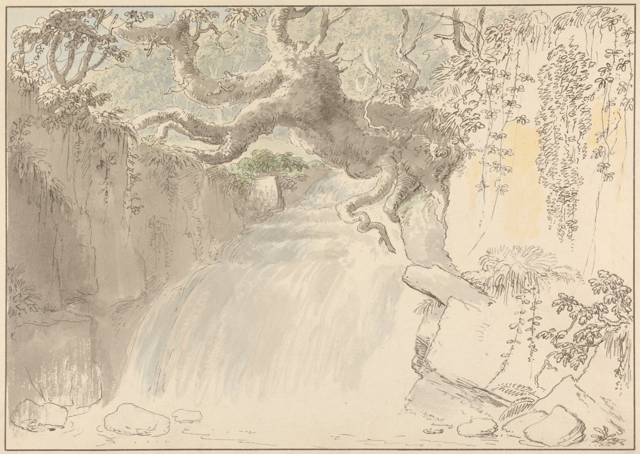 Waterval en boomstam door Anthony Devis
