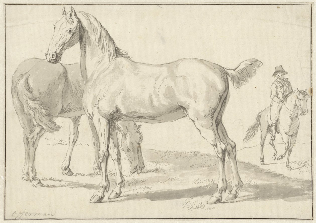 Twee paarden in een weide, rechts een ruiter door Anthony Jacobus Offermans