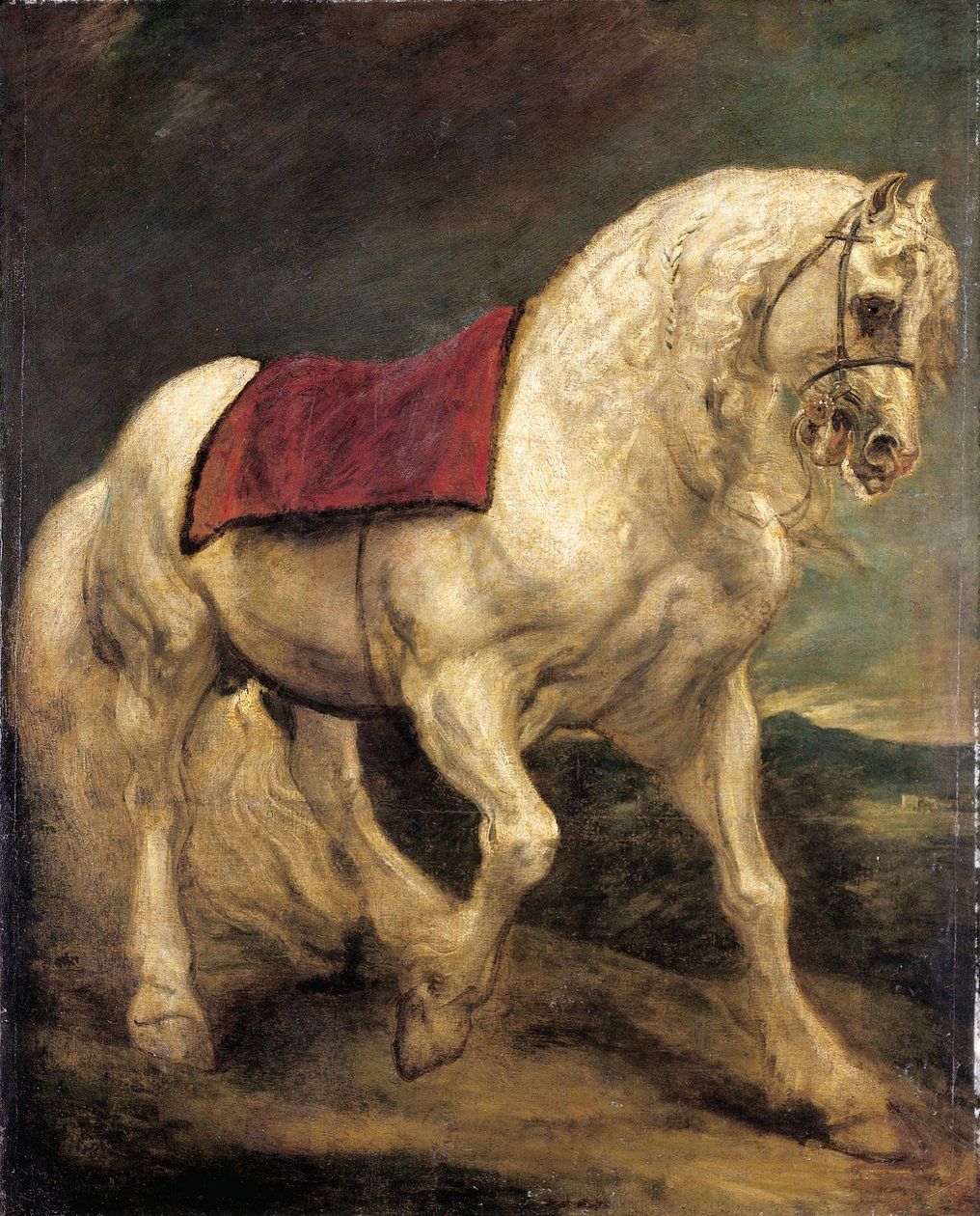 Een getoomde grijze hengst, met een zadeldeken en gedeeltelijk gevlochten manen: een modello door Anthony van Dyck