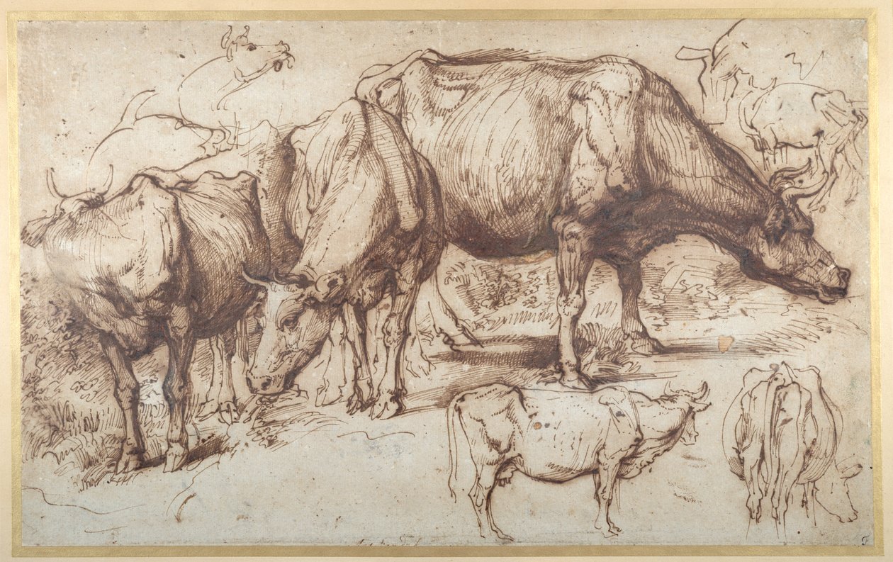 Vee in Weide, c.1618-20 door Anthony van Dyck