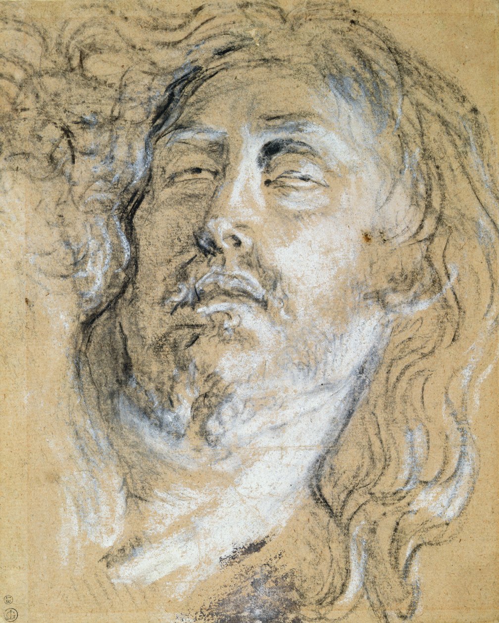 Hoofd van de dode Christus door Anthony van Dyck