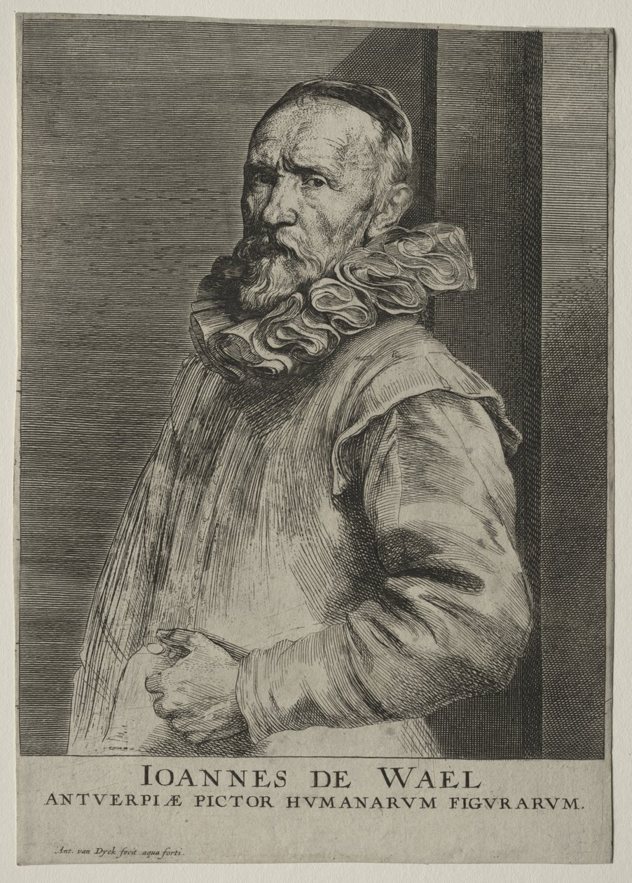 Portret van Jan de Wael Nevers door Anthony van Dyck