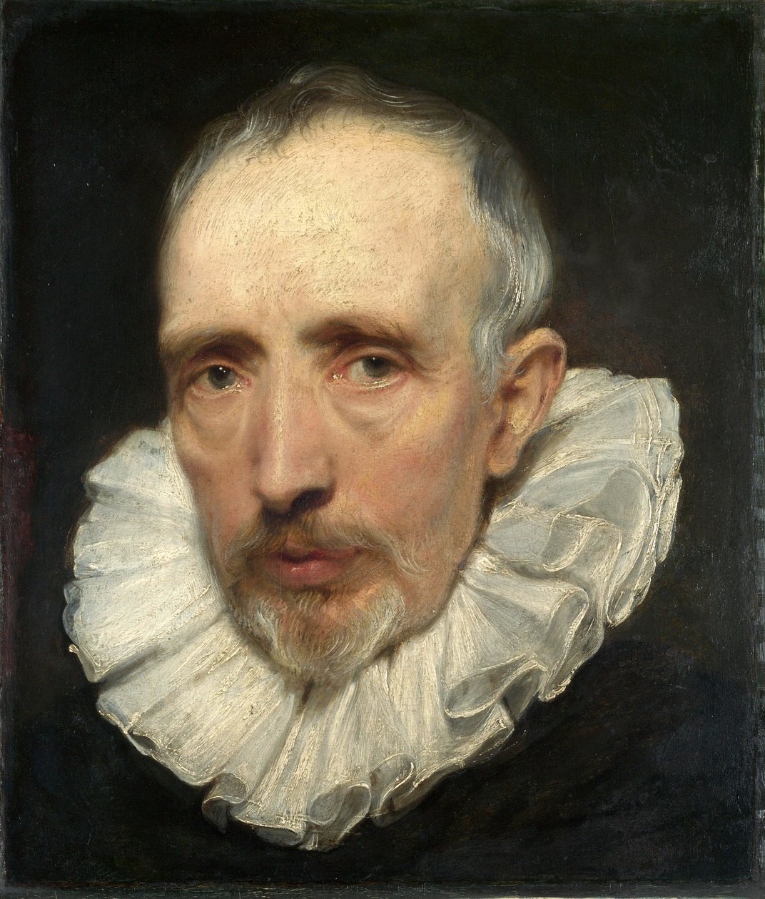 Portrait of Cornelis van der Geest door Anthony van Dyck