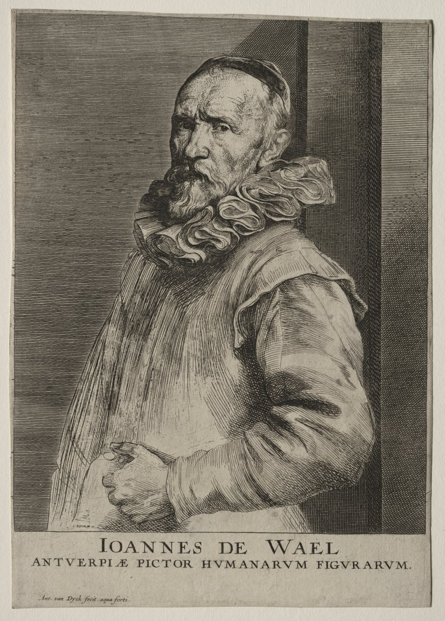 Portret van Jan de Wael Nevers door Anthony van Dyck