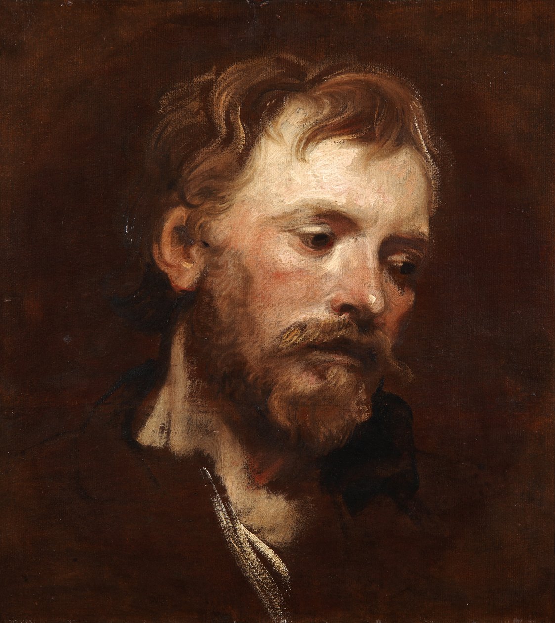 Studie van een jonge bebaarde man door Anthony van Dyck