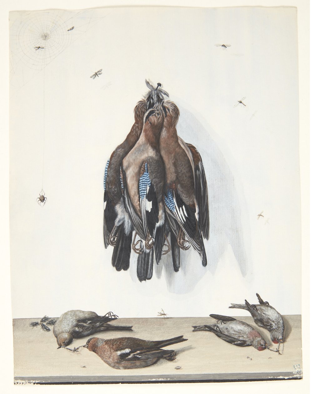 Stilleven met vogels door Anton Ignaz Hamilton