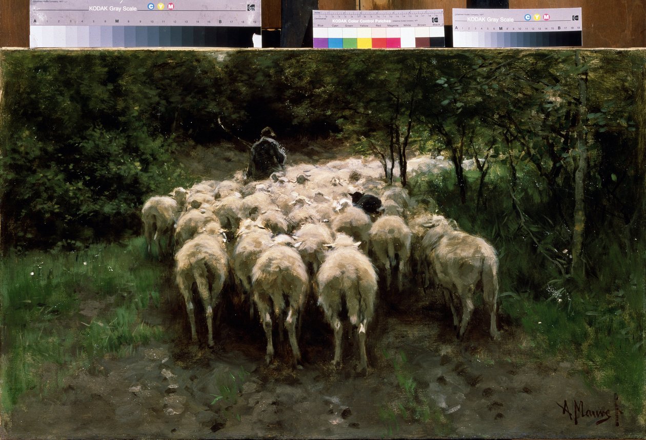 Schapen in het bos door Anton Mauve