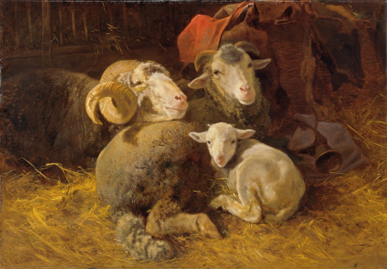 Schapen in de stal door Anton Schrodl