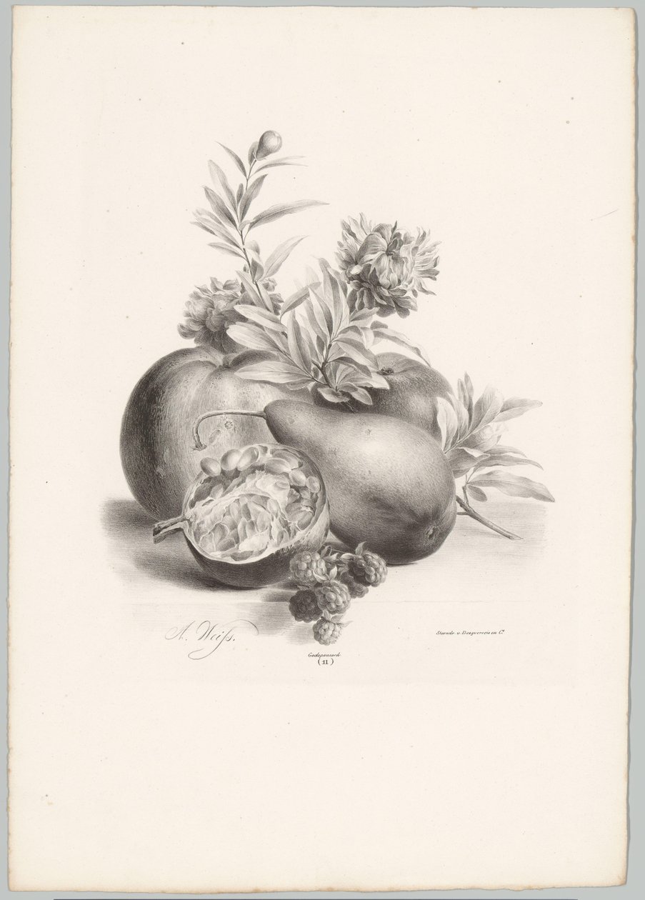 Bloemen, appels, peer, granaatappel en bramen door Anton Weiss