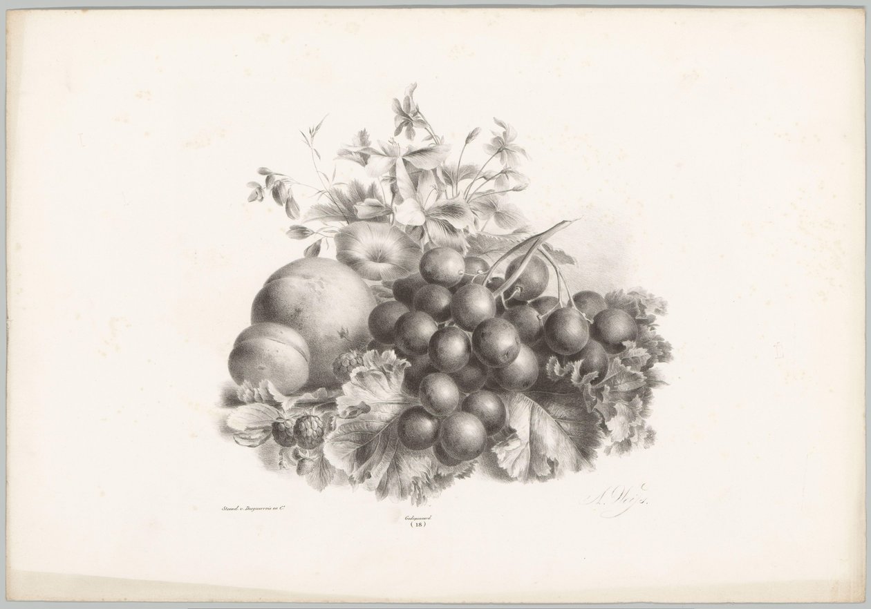 Bloemen, perzik, nectarine, druiven en bramen door Anton Weiss