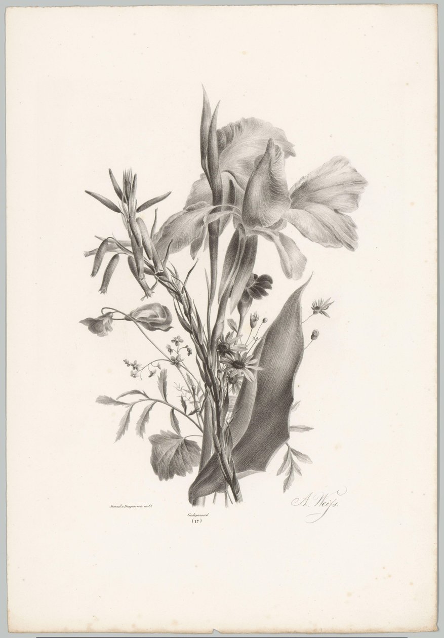 Diverse bloemen door Anton Weiss