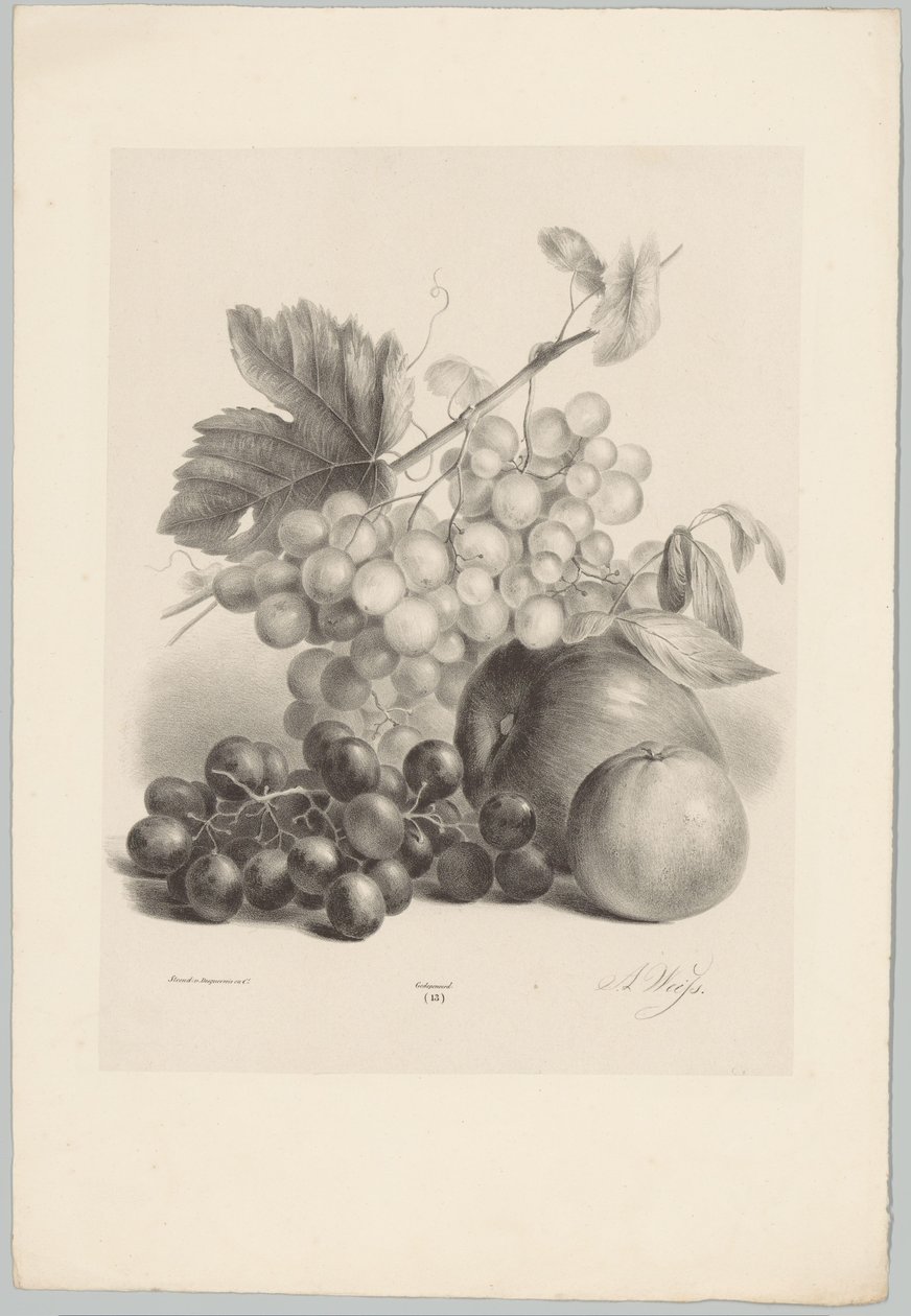 Rode en witte druiven en appels door Anton Weiss