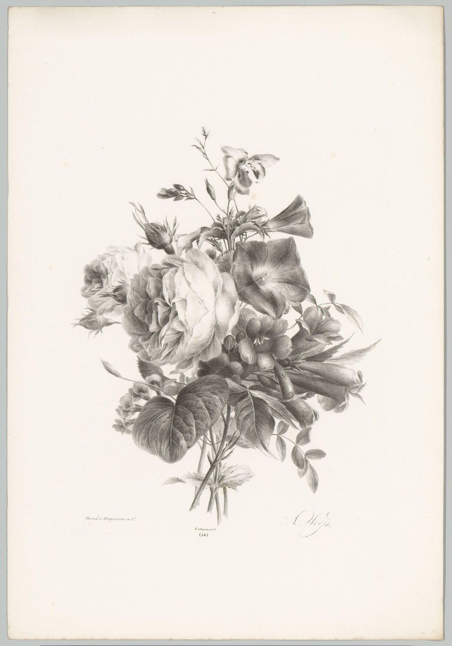 Rozen en kelkvormige bloemen door Anton Weiss