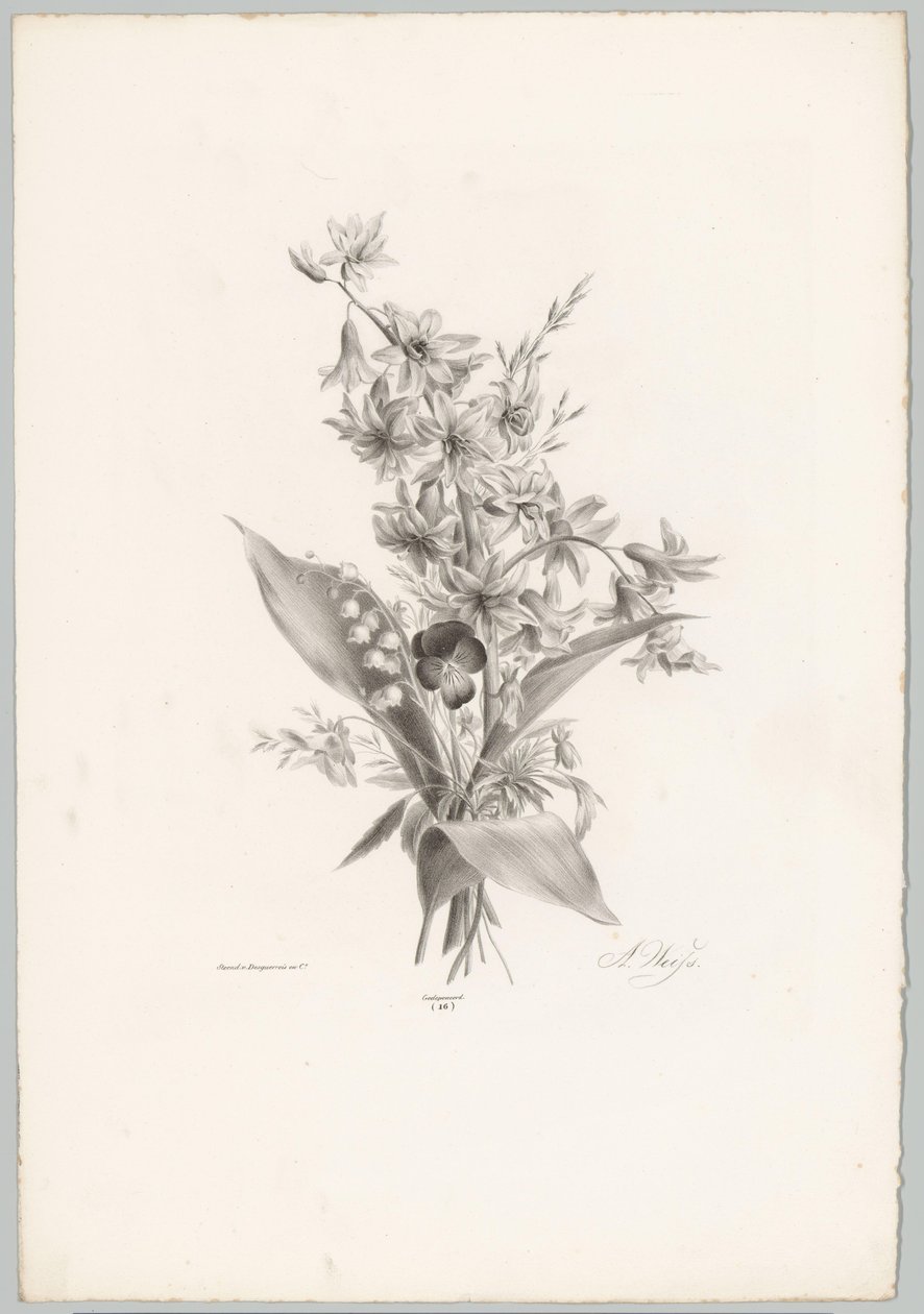Viooltje en hyacint- en klokvormige bloemen door Anton Weiss