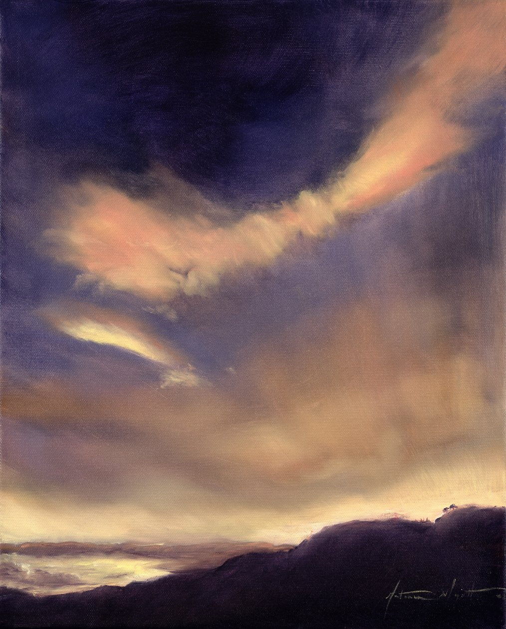 Vlinderwolken, 2002 door Antonia Myatt