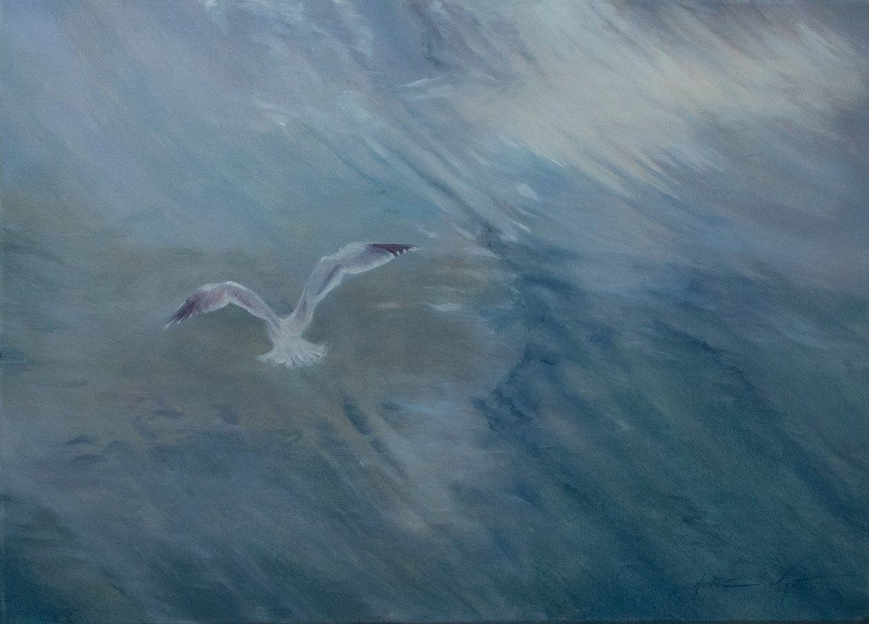 Meeuw vliegt weg, 2012 door Antonia Myatt