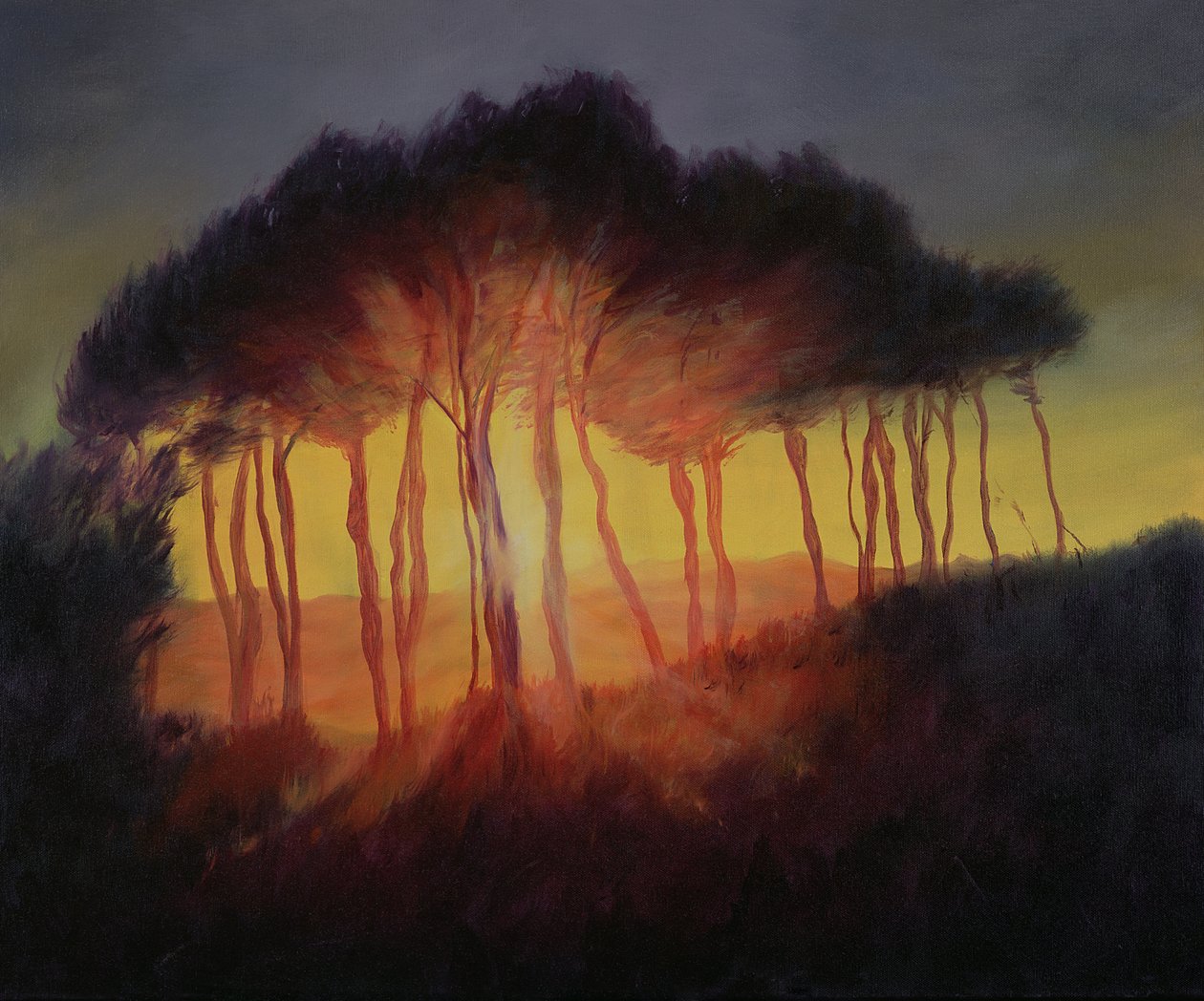 Wilde Bomen bij Zonsondergang, 2002 door Antonia Myatt