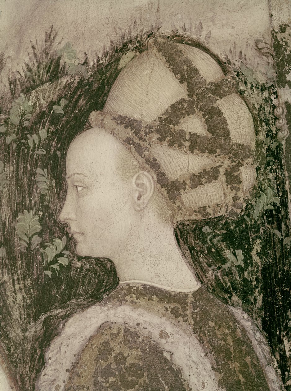 St. George en de prinses van Trebizond, detail van het hoofd van de prinses, c.1433-38 door Antonio Pisanello