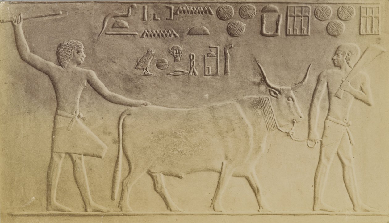 Heilige Stier in Saqqara door Antonio Beato