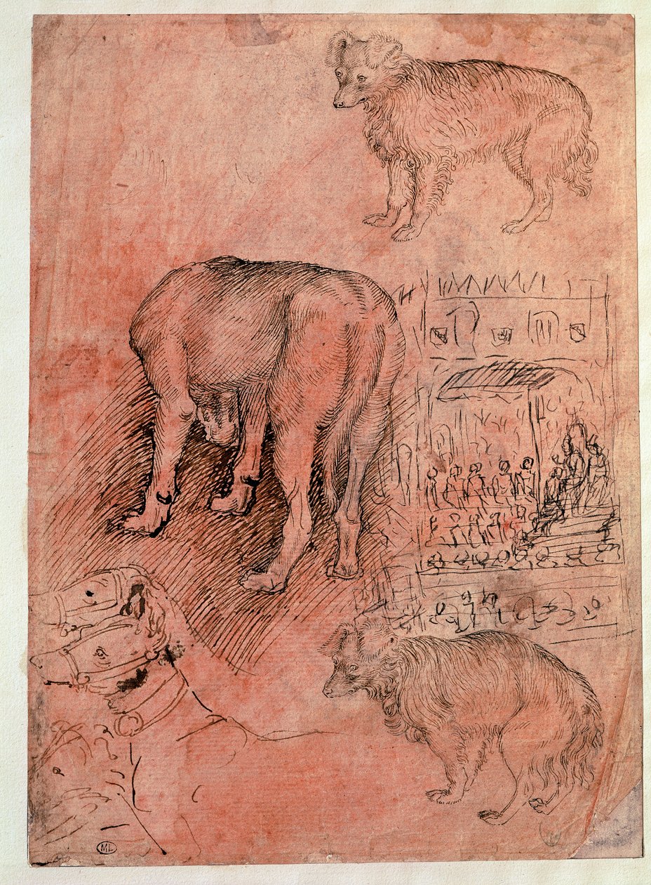 Hondenstudies. Aulisch episode. Tekening door Antonio Pisano, genaamd il Pisanello door Antonio Pisanello