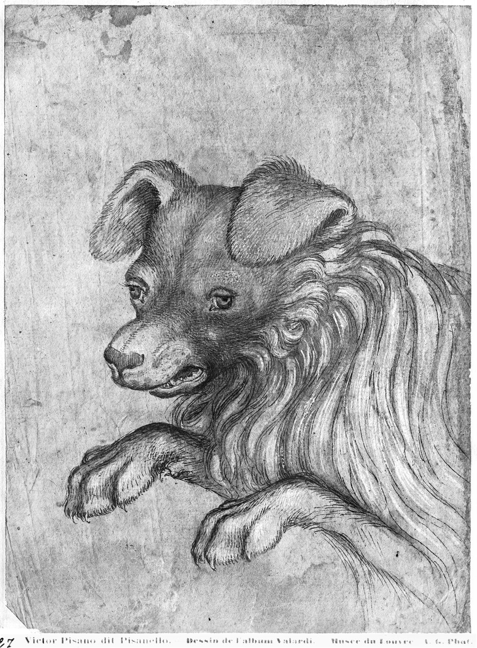 Hoofd van een hond, uit het Vallardi Album door Antonio Pisanello