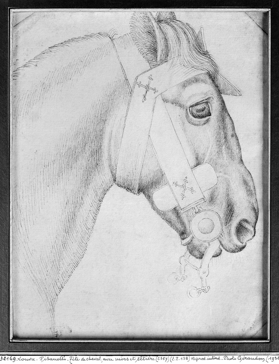 Hoofd van een paard, uit het Vallardi Album door Antonio Pisanello