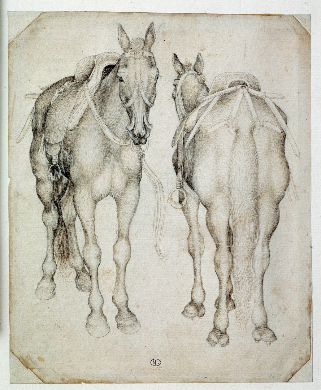 Twee harnassen, gezien driekwart door Antonio Pisanello