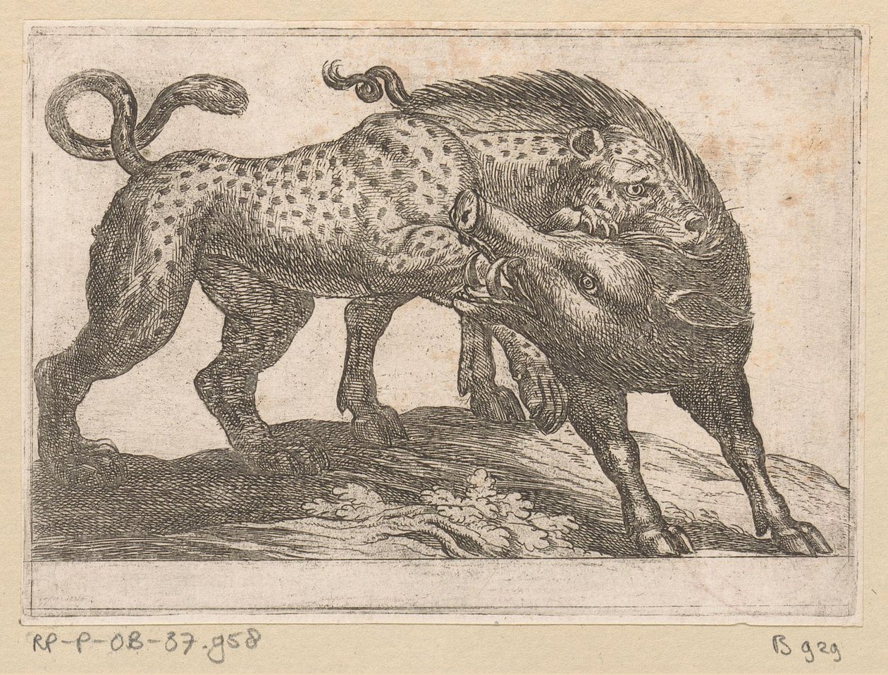 Een luipaard vechtend met een everzwijn door Antonio Tempesta