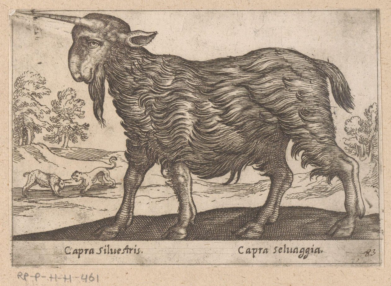 Geit met één hoorn (Dieren en fabelwezens, Nova raccolta de li animali piu curiosi del mondo) door Antonio Tempesta