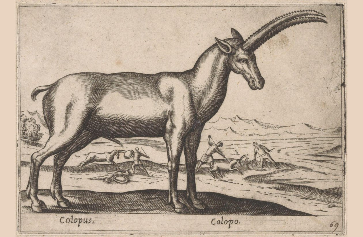 Geitachtige door Antonio Tempesta