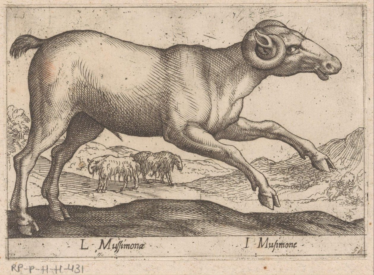 Geitachtige door Antonio Tempesta