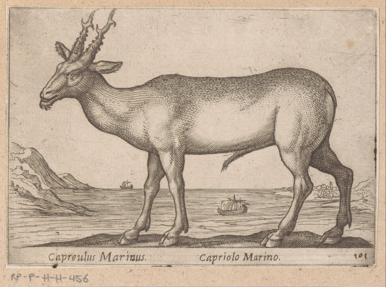 Hert Capreulus Marinus / Capriolo Marino (titel op object) Dieren en fabelwezens (serie titel) Nova raccolta de li animali piu curiosi del mondo (serie titel) door Antonio Tempesta