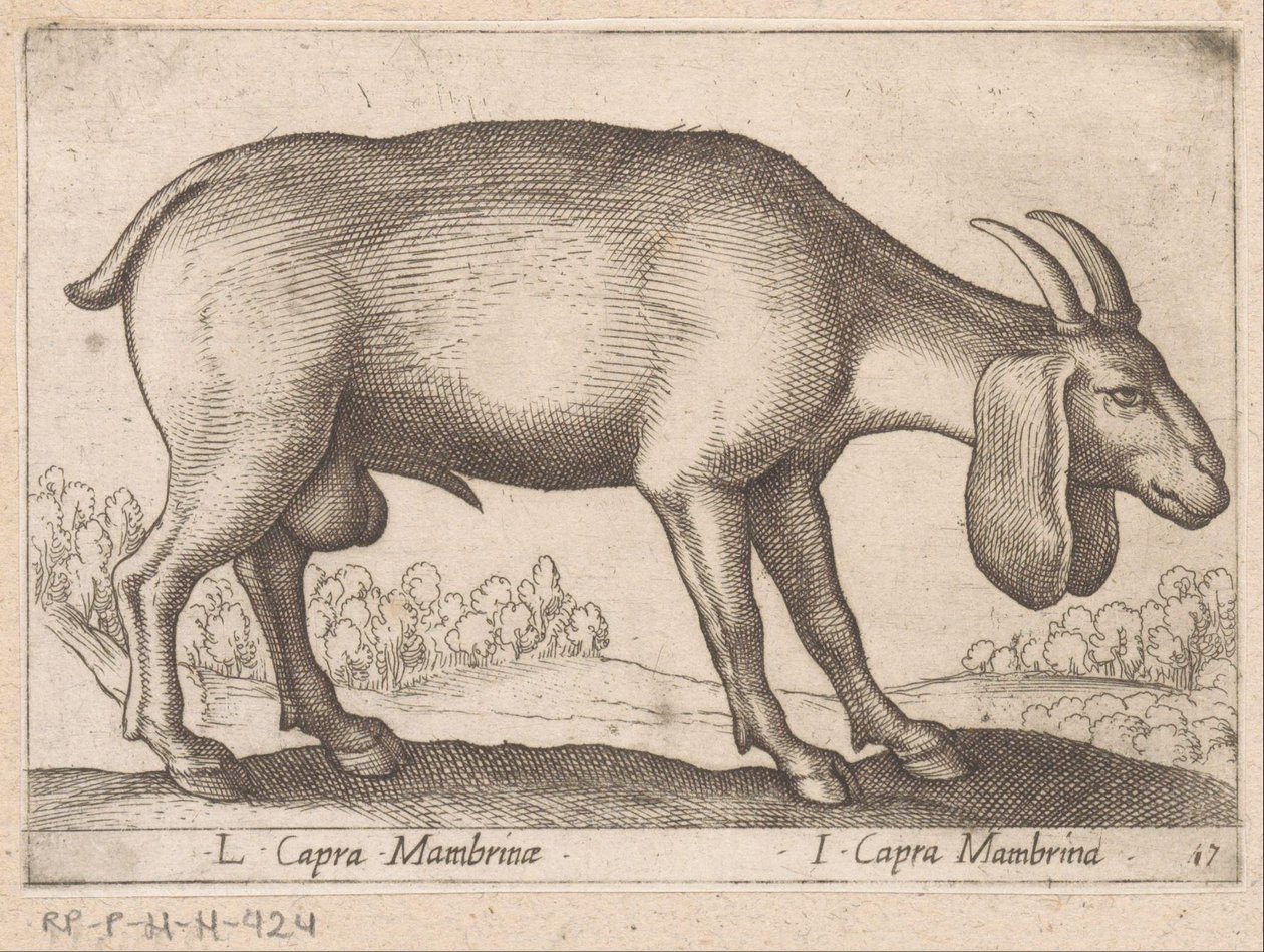 Mambrina geit door Antonio Tempesta