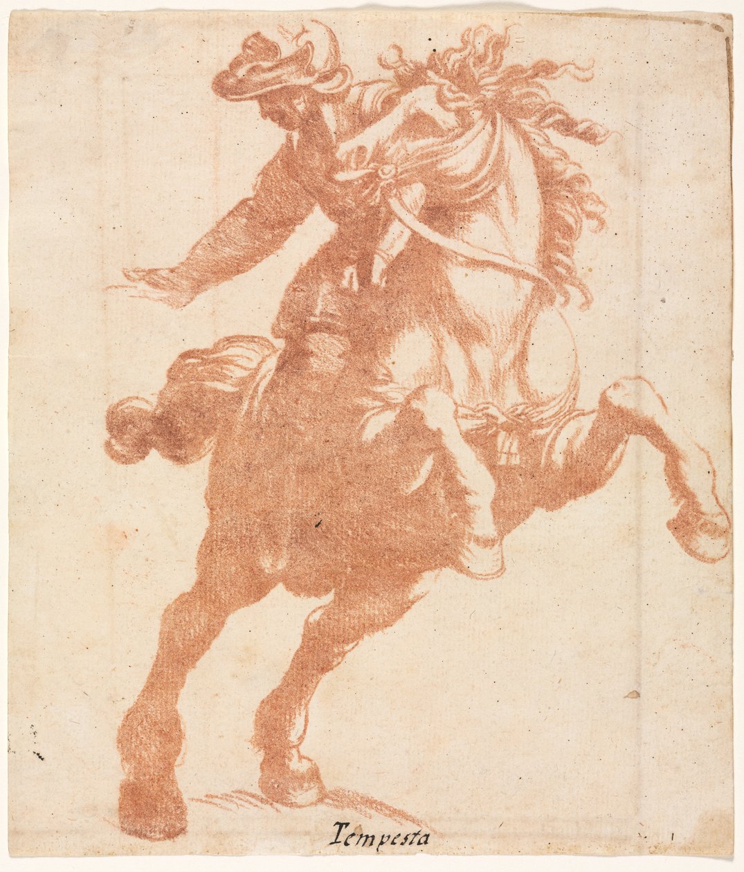 Steigendes Pferd und Reiter door Antonio Tempesta