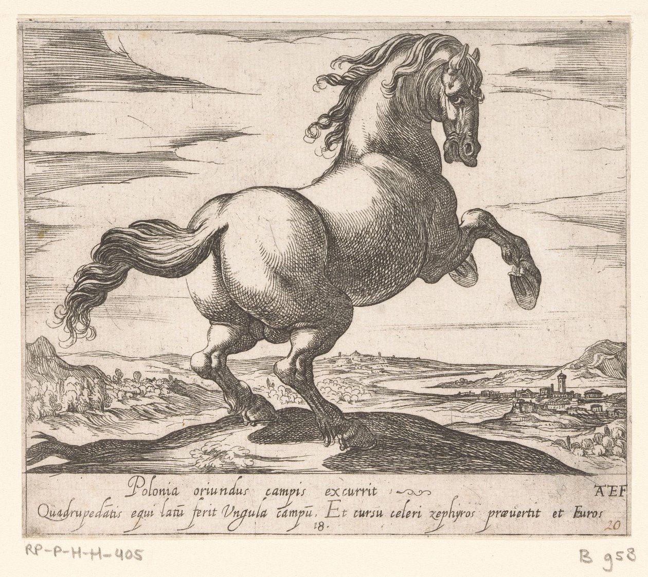 Steigerend paard naar rechts gewend door Antonio Tempesta