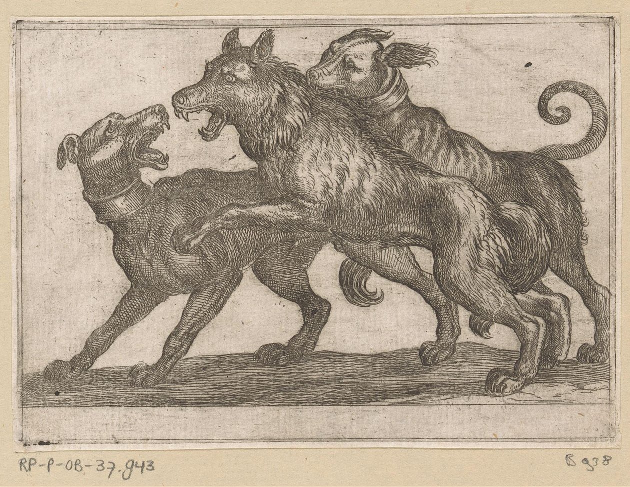 Twee honden in gevecht met een wolf door Antonio Tempesta