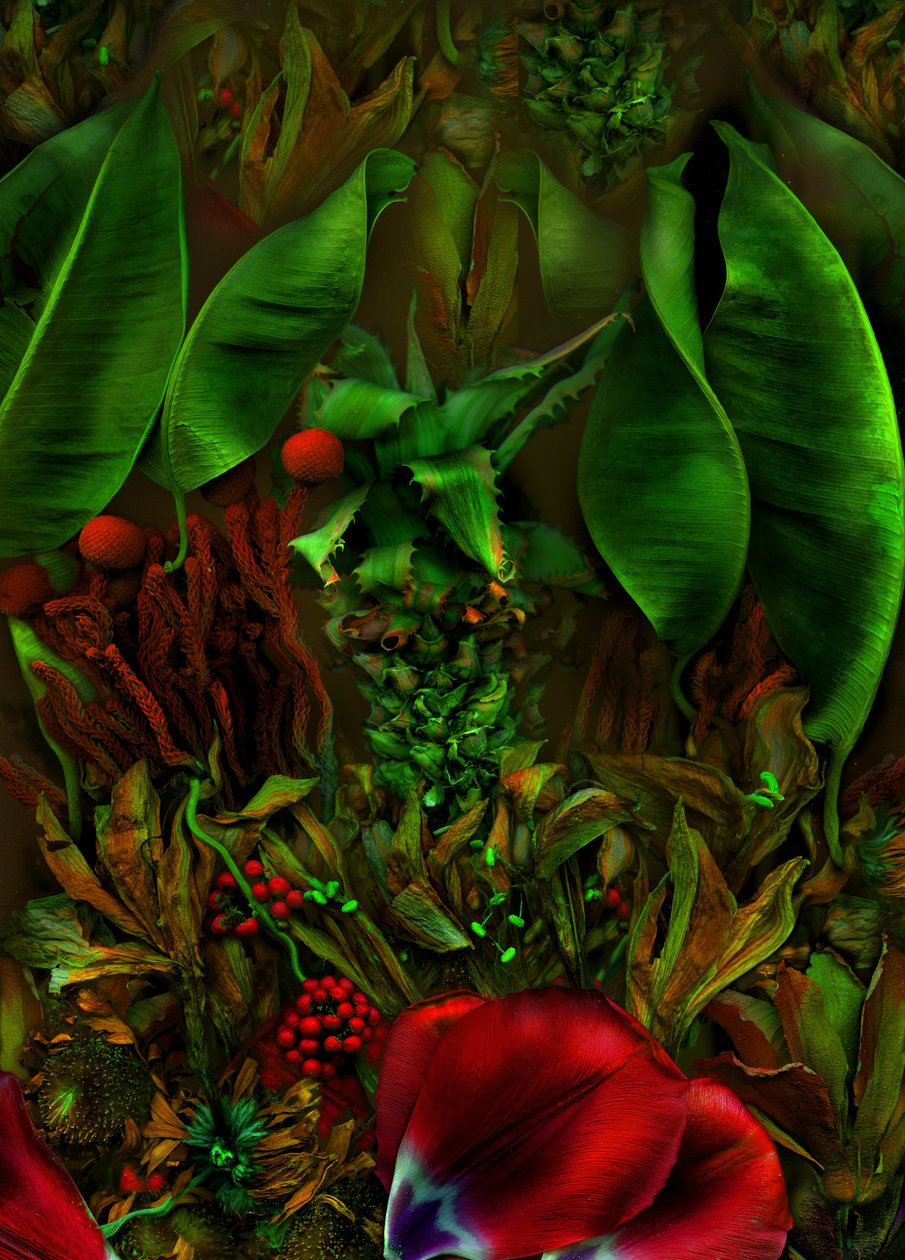 Anderswelt no.22-2, 2025 (photo) door Antonius Antonius